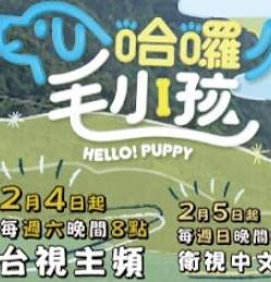 哈啰！毛小孩(全集)