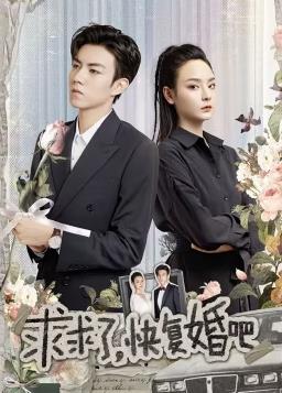 求求了，快復婚吧(全集)