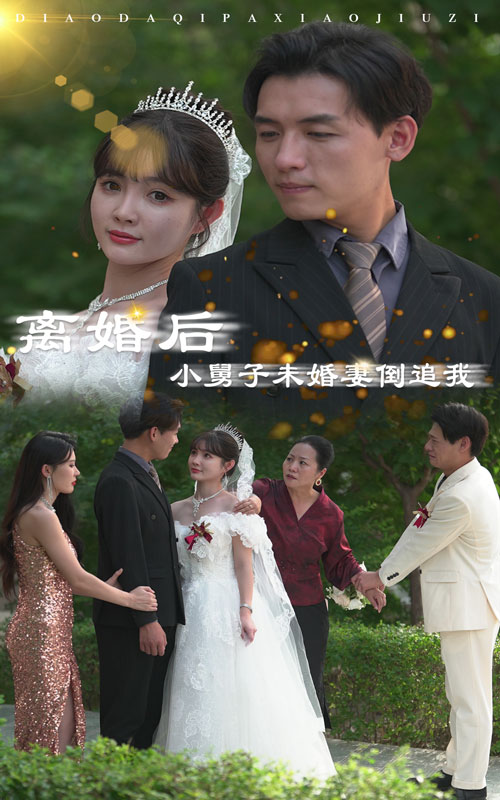 離婚后，小舅子未婚妻倒追我(全集)