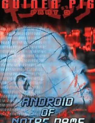 豚鼠系列之6：圣母機器人