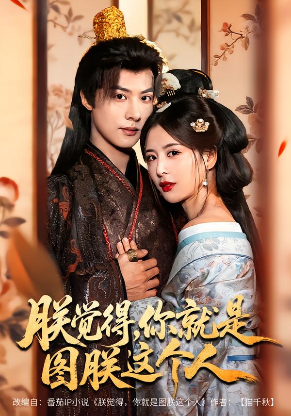 朕覺得，你就是圖朕這個人(全集)