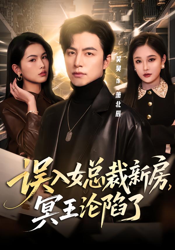 誤入女總裁新房，冥王淪陷了(全集)