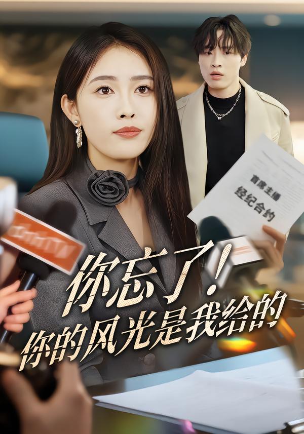 你忘了！你的風(fēng)光是我給的(全集)