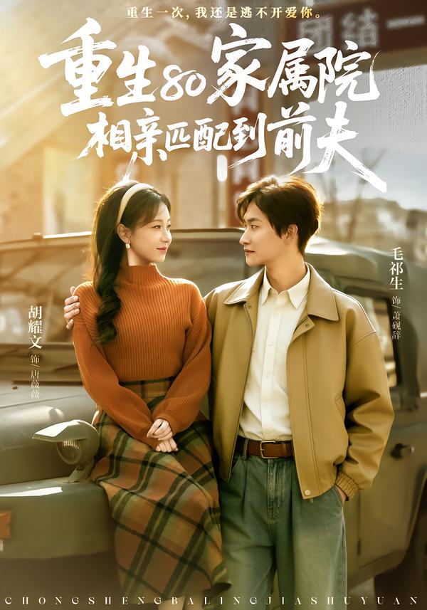 重生80家屬院，相親匹配到前夫(全集)