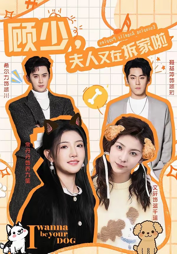 顧少，夫人又在拆家啦(全集)