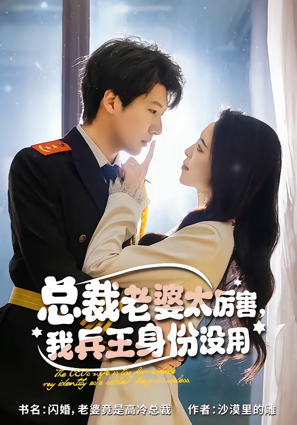 總裁老婆太厲害，我兵王身份沒(méi)用(全集)