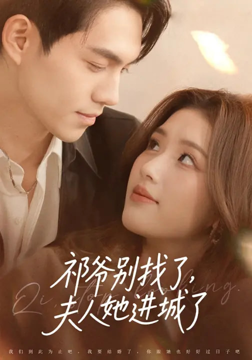 祁爺別找了，夫人她進(jìn)城了(全集)