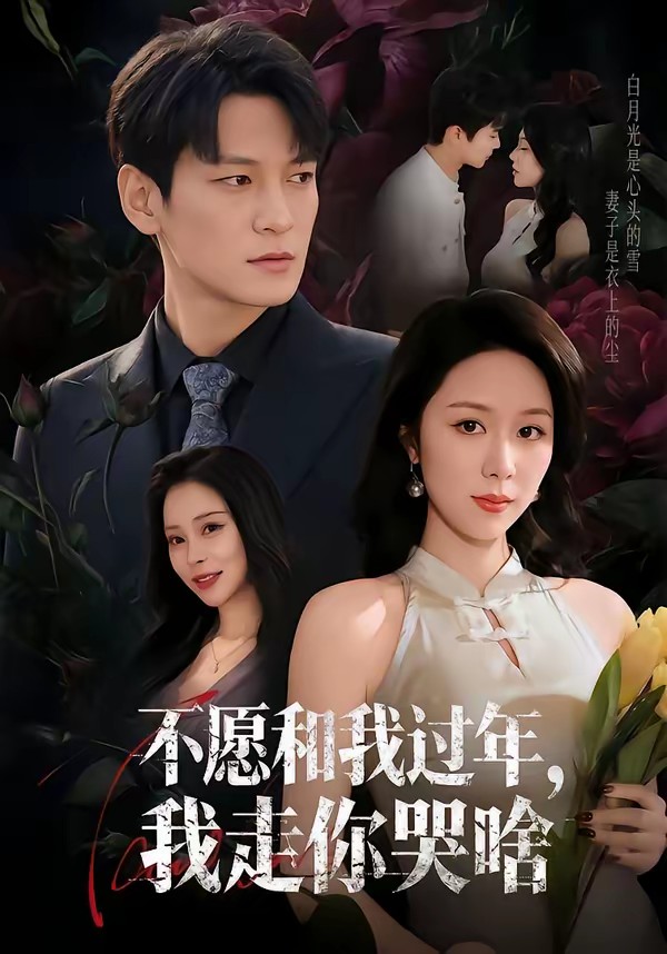 不愿和我過年，我走你哭啥(全集)