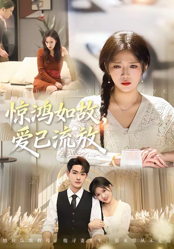 驚鴻如故，愛已流放(全集)