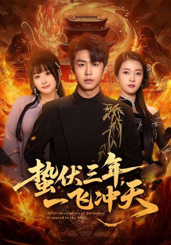 蟄伏三年，一飛沖天(全集)