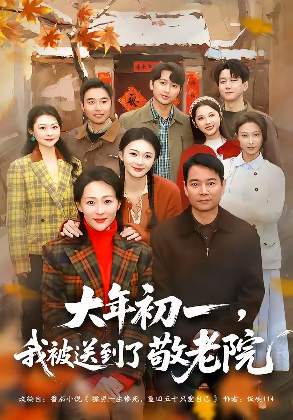 大年初一，我被送到了敬老院(全集)